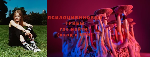 кокс Касимов
