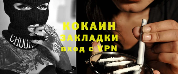 кокс Касимов
