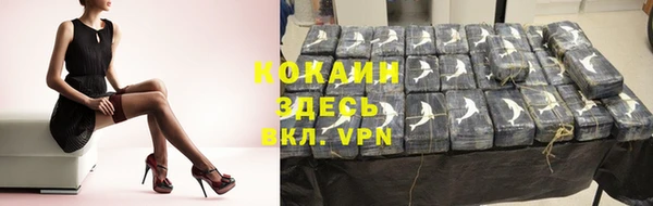ПСИЛОЦИБИНОВЫЕ ГРИБЫ Каменногорск