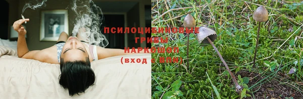 героин Карпинск