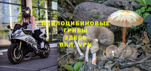 героин Карпинск